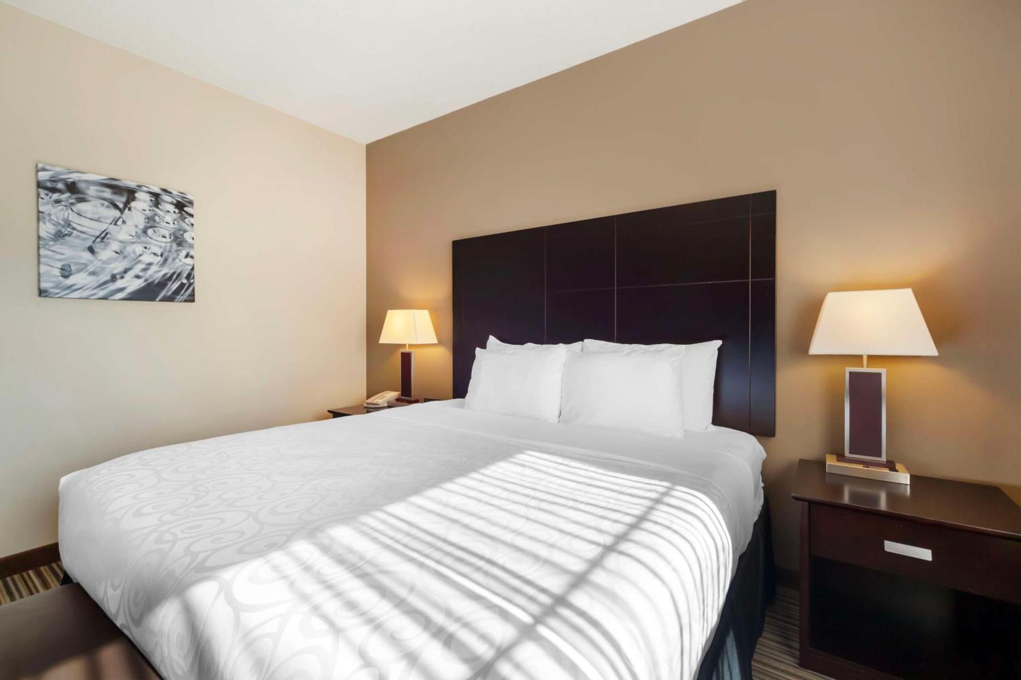 Best Western Plus Peace River Hotel&Suites Extérieur photo